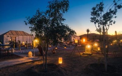 Luxury Desert Camps (3)