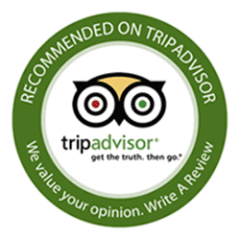 Tripadvisor-logo
