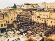 Guided tour of Fez