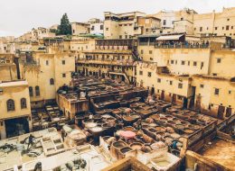 Guided tour of Fez