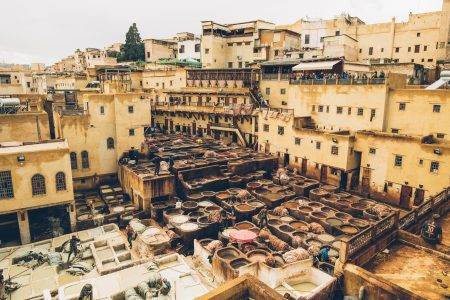 Guided tour of Fez