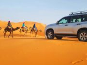 4×4 Excursion in desert