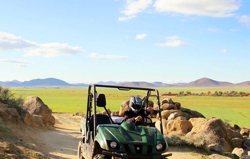 Buggy in Marrakech