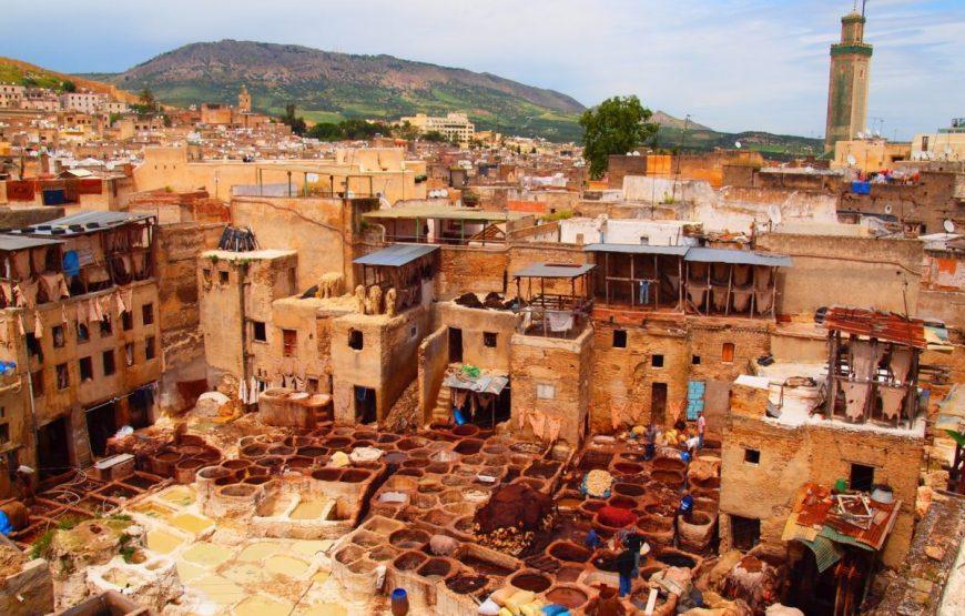 Guided tour of Fez