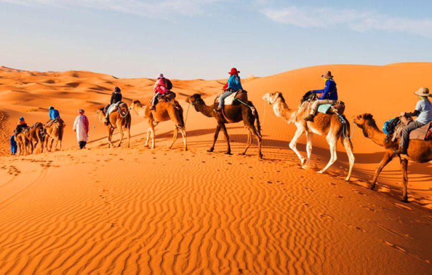 15 days Luxury tour from Marrakech