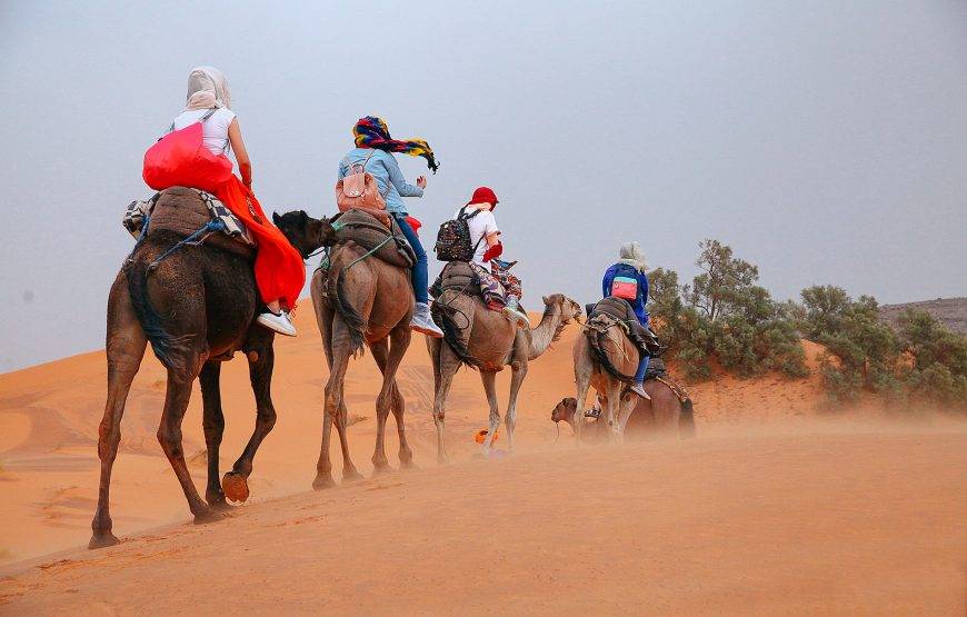 Camel rides in Erg Chebbi