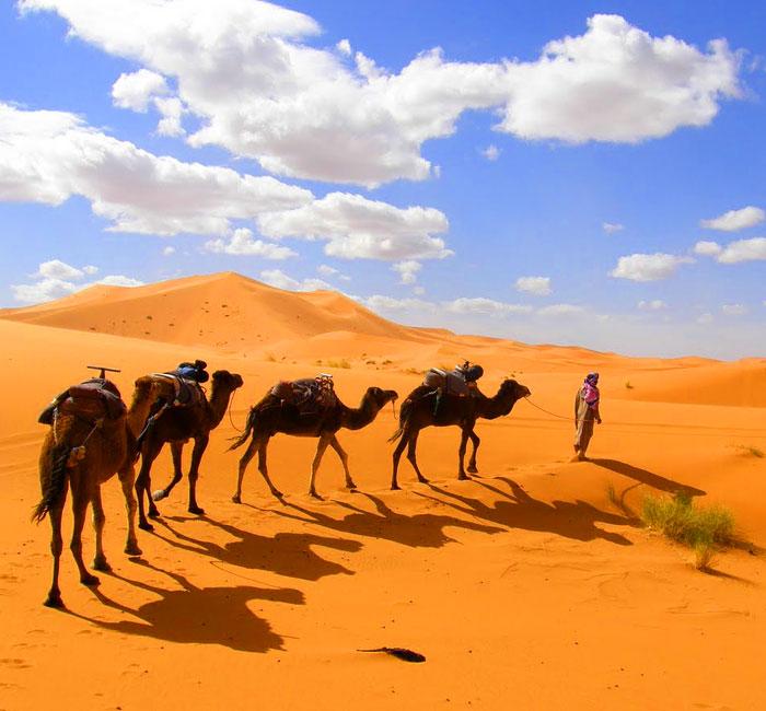 Morocco Luxury Tours