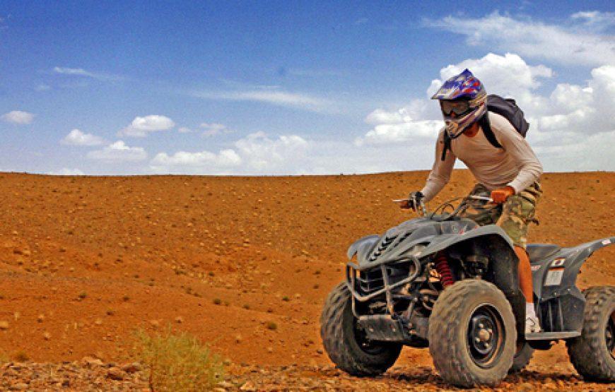 Quads in Marrakech