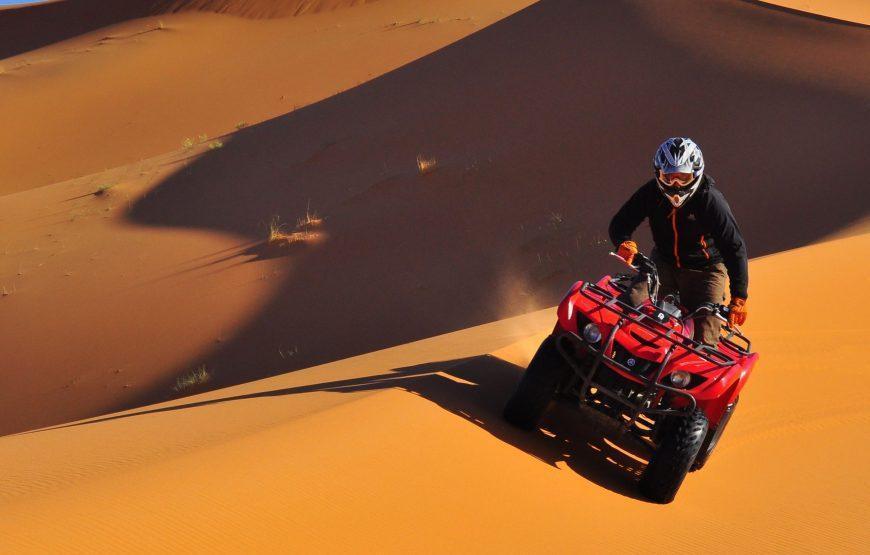 Quads in Erg Chebbi