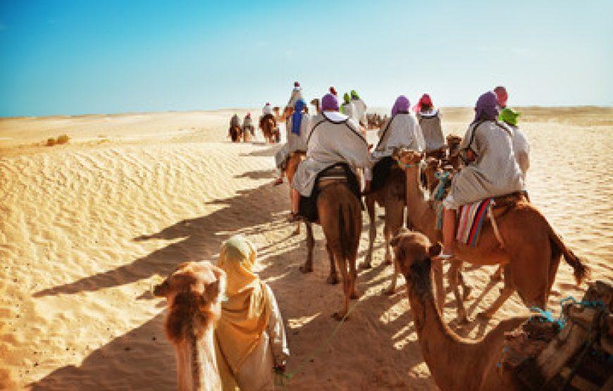 Camel rides in Erg Chebbi