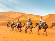 Morocco Private Luxury Packages