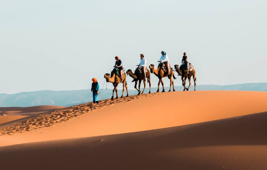 8 days luxury tour from Marrakech to Desert