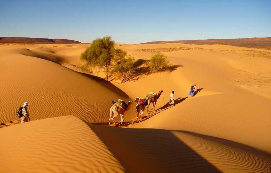 8 days luxury tour from Marrakech to Desert