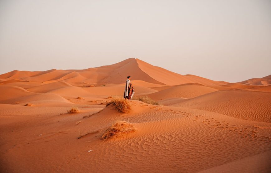 15 days Luxury tour from Marrakech