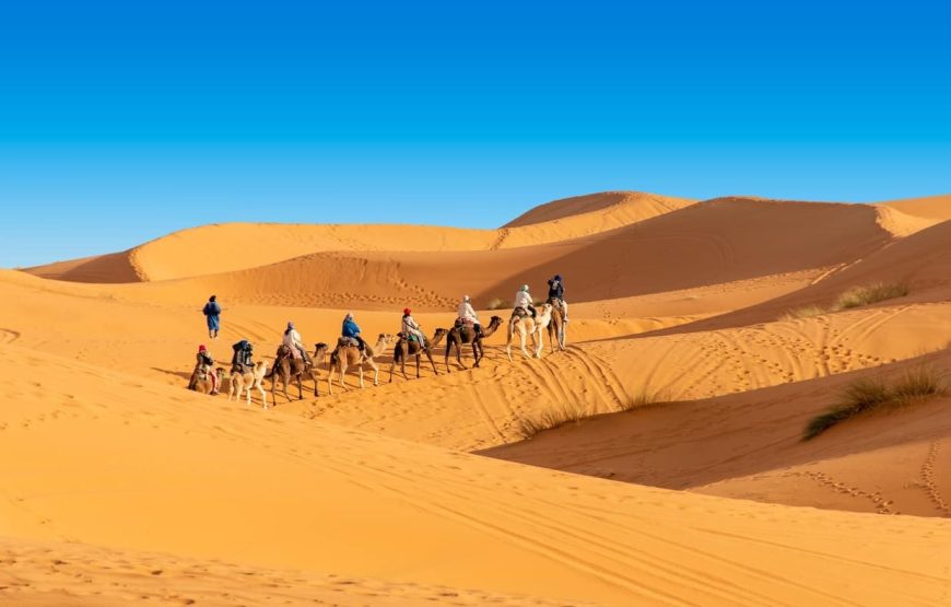 15 days Luxury tour from Marrakech