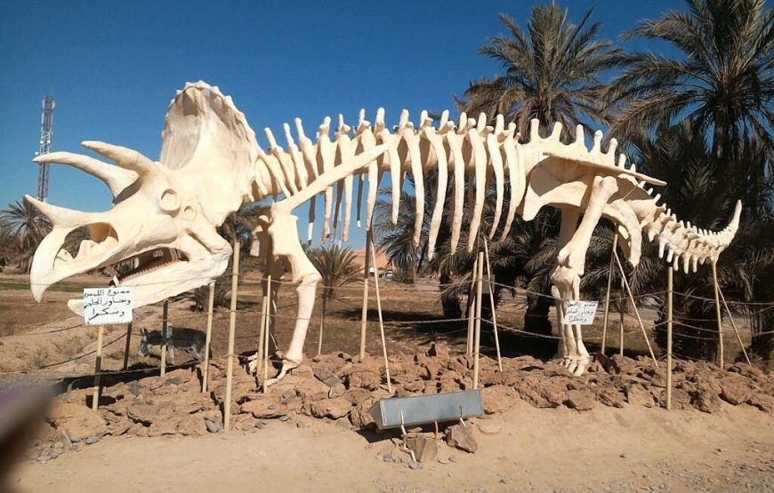 11 days Fossils and Geological Morocco Tour