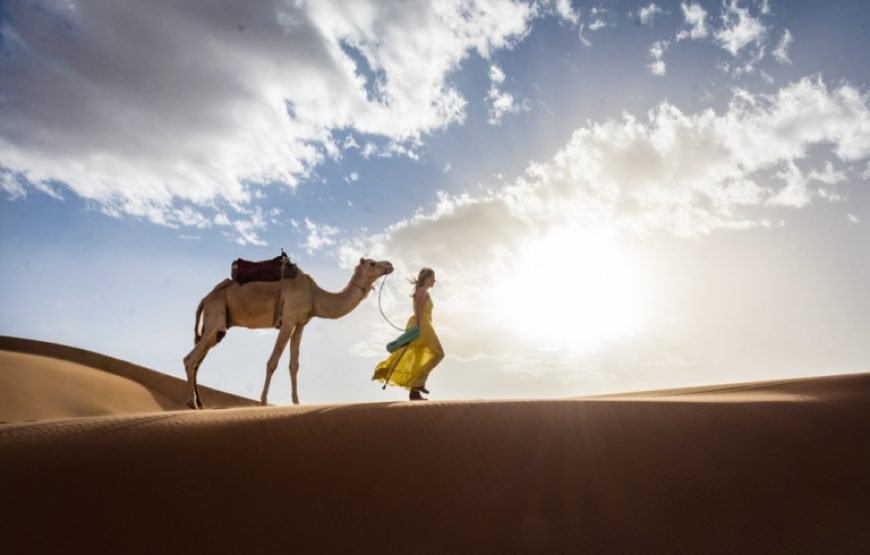 15 days Luxury tour from Marrakech