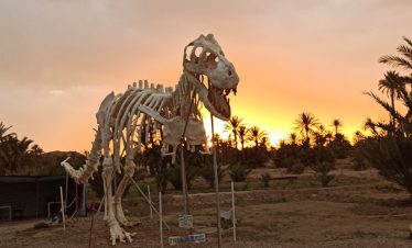 Morocco Fossil Tours: Geological and Mineral Trip