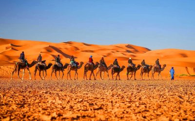 7-Day Tour From Casablanca